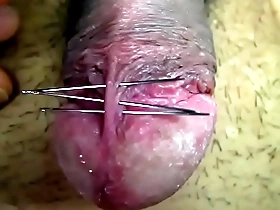 Japanese cock in BDSM CBT scene with a painful twist