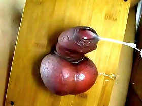Japanese man gets his penis crushed and gets an intense orgasm