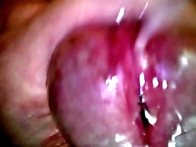 Solo pleasure with an endoscopic camera, an average hung Asian mans experience.